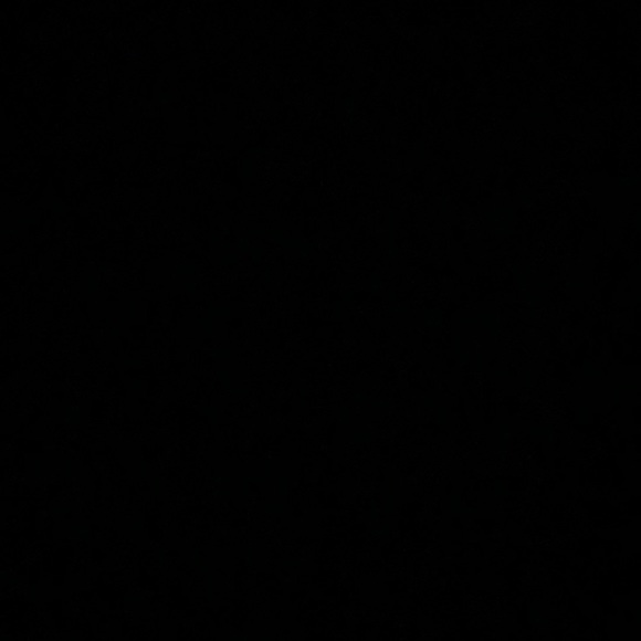 All items are currently not for sale! - Picture 1 of 1